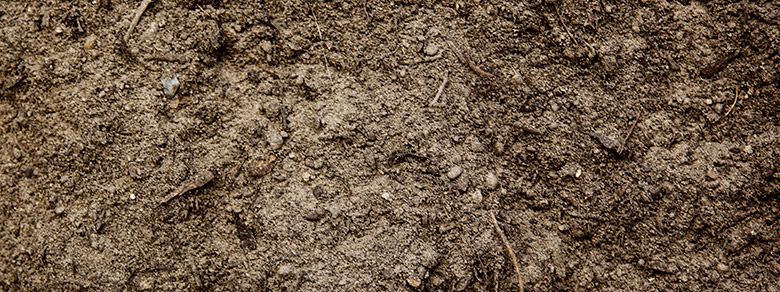 Kompost Erden Nord – Produkte/Gartenerde 1